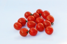 images/productimages/small/cherrytomaten.jpg