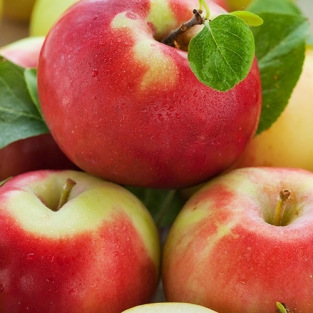 Appels nieuwe oogststreekproduct. P.kg